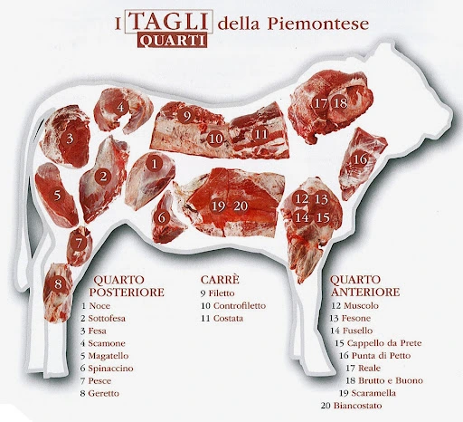 i tagli della carne: quarto e quinto.