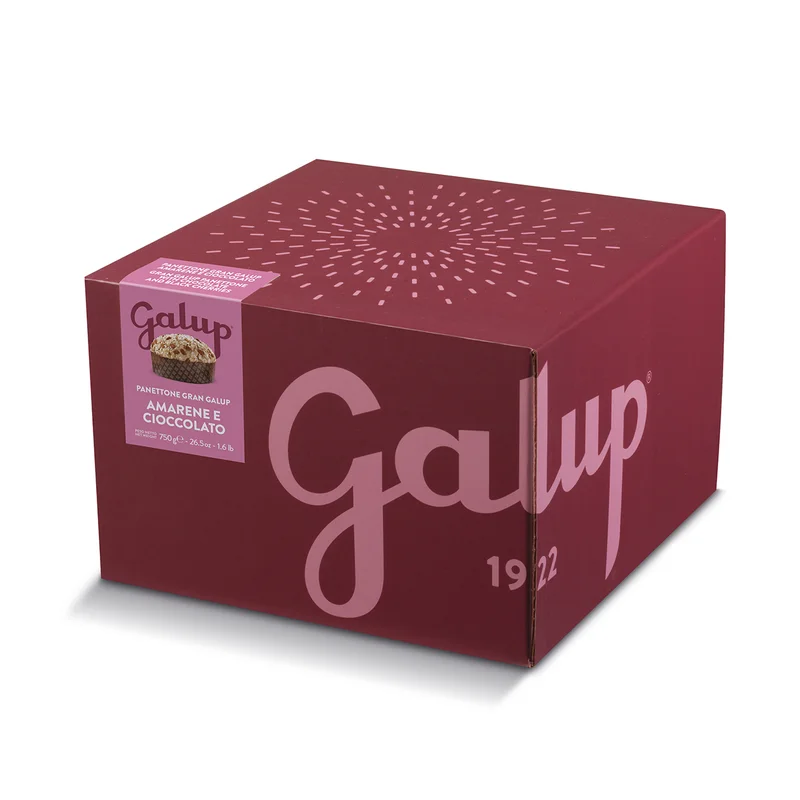 galup- panettone tradizionale piemontese